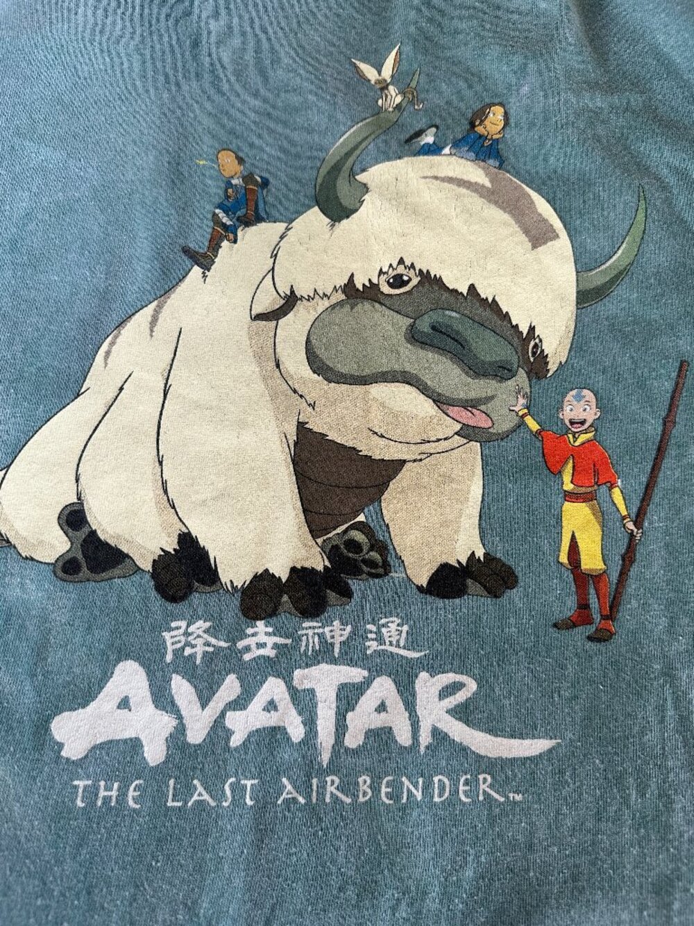 Avatar The Last Airbender Appa Naga Zuko Aang Zuko Katara Men's Green T Shirt